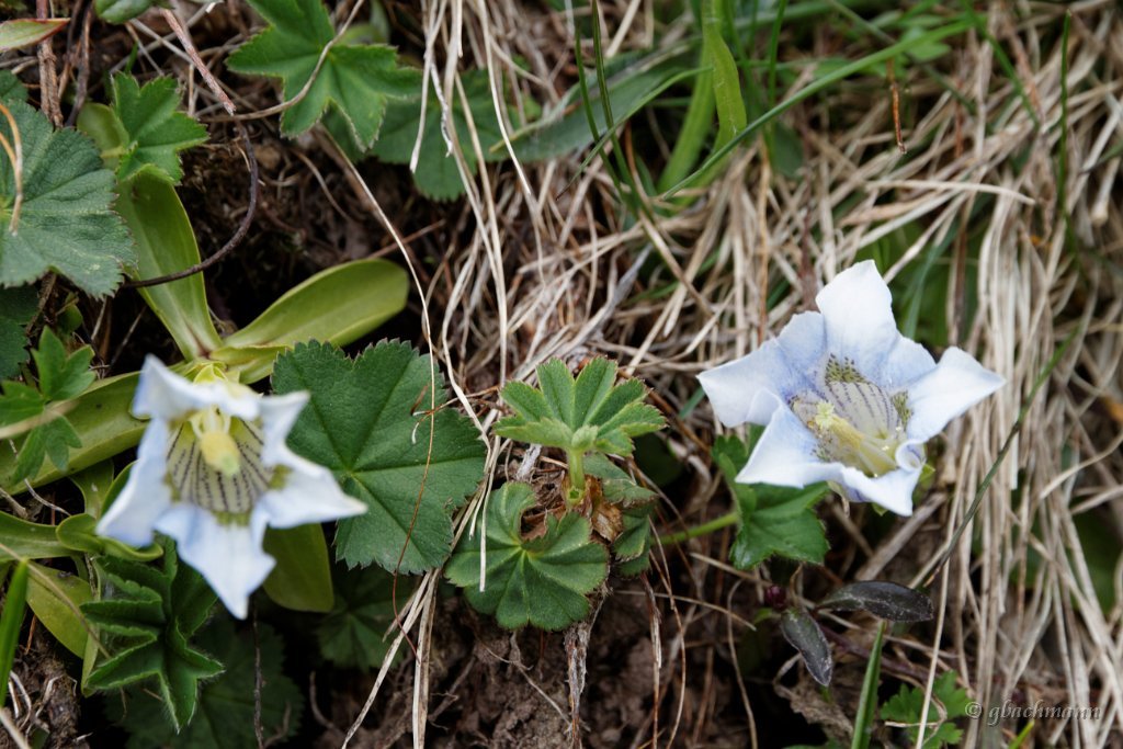 20140531_180